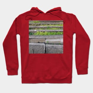 nature stone green foliage Hoodie